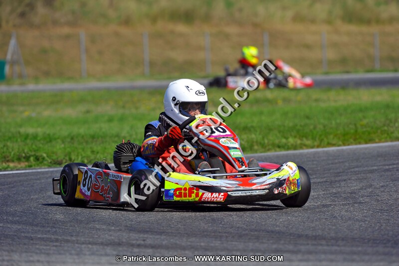 DSC_ (1279).jpg